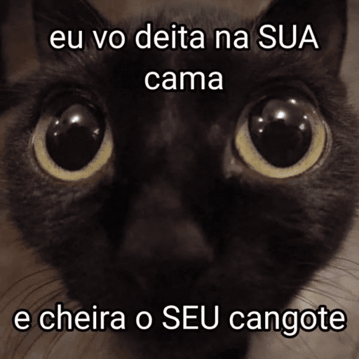 Sapecagens 13