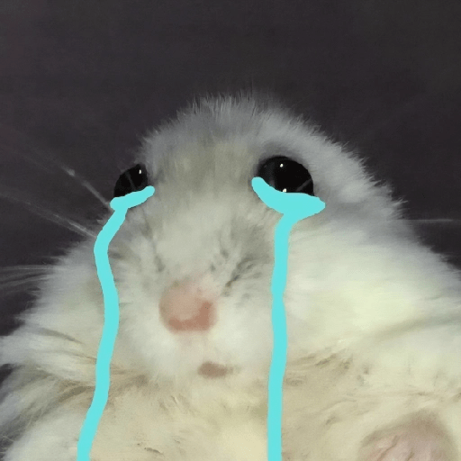 🐀Ratitas y Hámsters 🐹 11