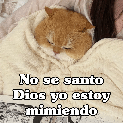 🧿 Dilo con Michis 4🐱 5