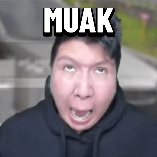 Windah basudara meme  4