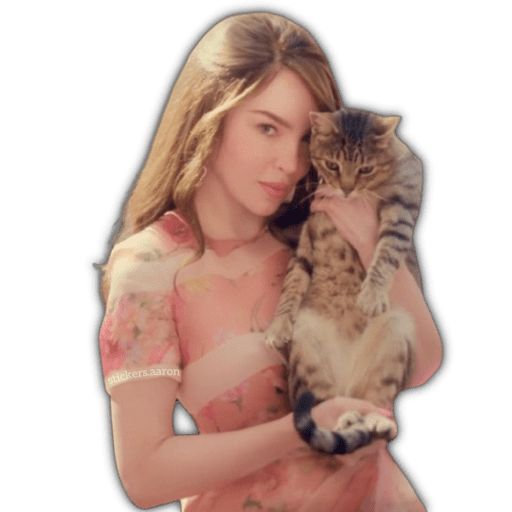 Mentiras la Serie Belinda  6