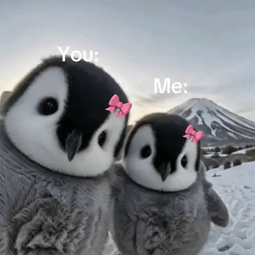 💓 Pingüinos bebé 3🐧 6