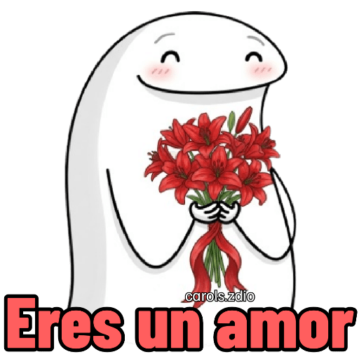 🌹 Flork Flores Enamorado ❤️🌹 11
