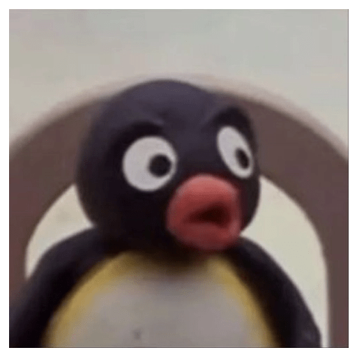 Pingüimos 🙊 5