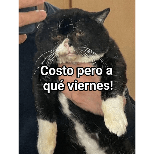 Memes 76 13