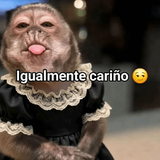 Memes 77 1