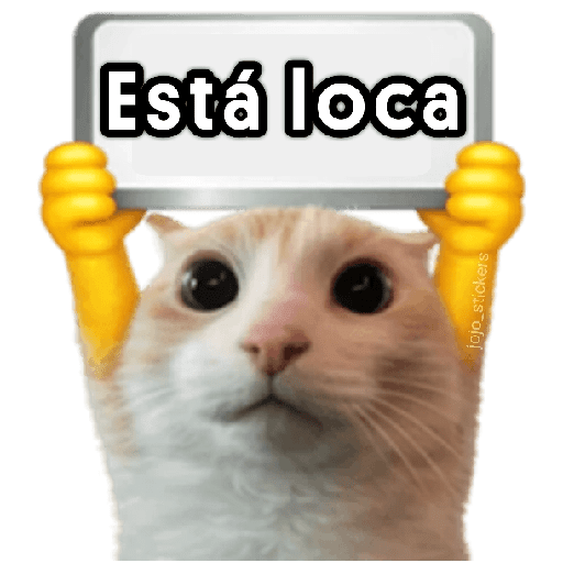 🐾🐈‍⬛ Gato |michi|cat 🐾 11