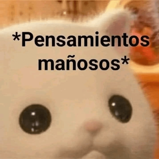 Frases 😆 1