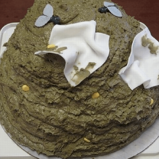 Poop cake birthday 3