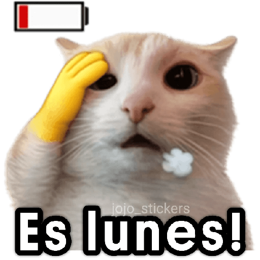 🐾🐈‍⬛ Gato |michi|cat 🐾 12