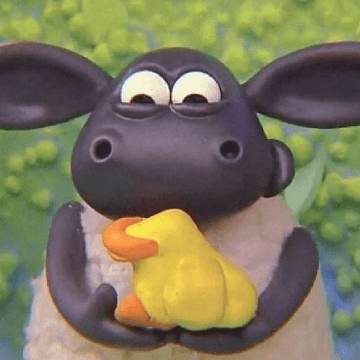 Oveja 🤭  5