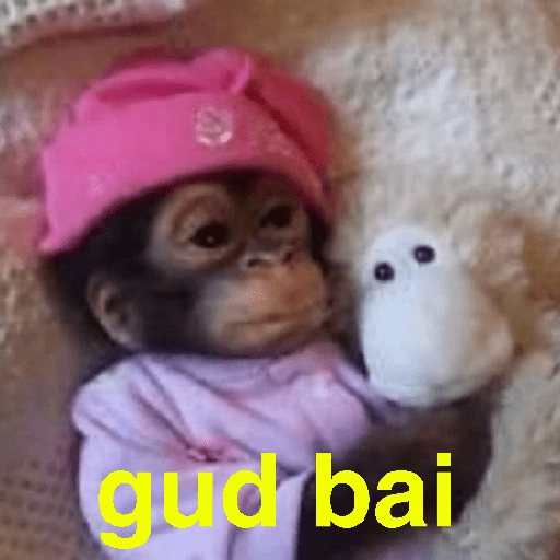 Changuitos Random 🐒 8