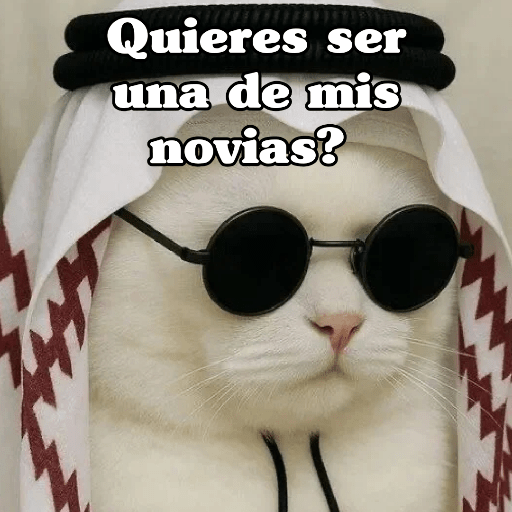 🧿 Dilo con Michis 4🐱 29