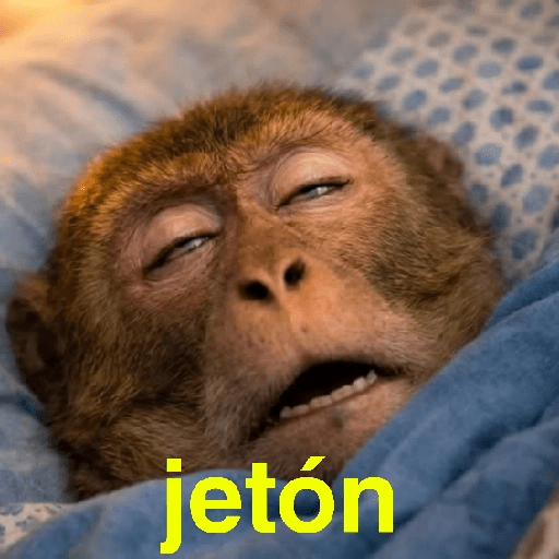 Changuitos Random 🐒 6