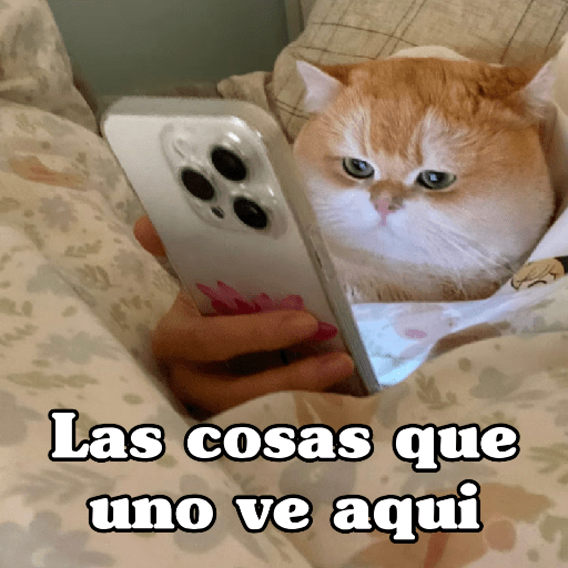 🧿 Dilo con Michis 4🐱 1