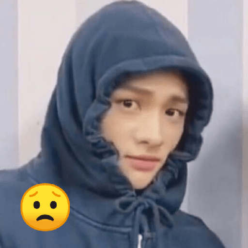 straykids memes 5 😟