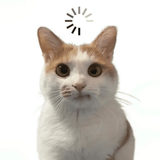 Gatinhos fofos 8
