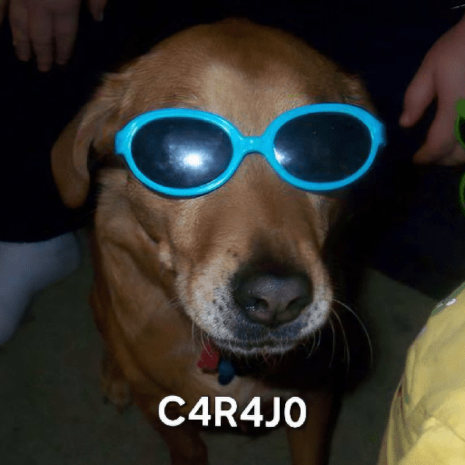 Memes 77 24