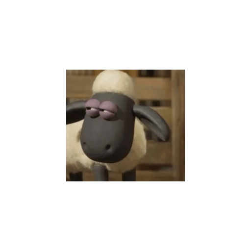 Oveja 🤭  8