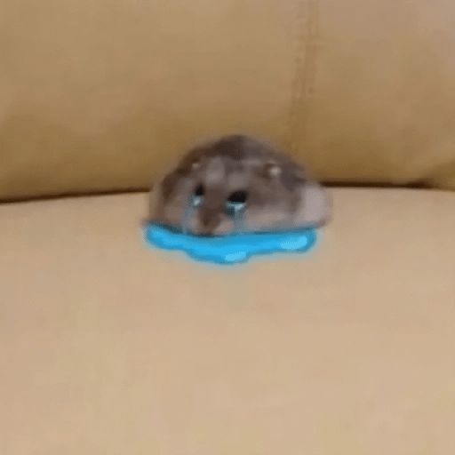 🐀Ratitas y Hámsters 🐹 21