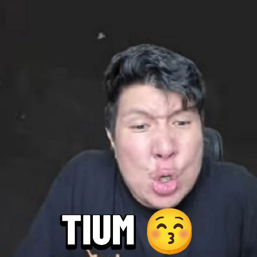 Windah basudara meme  5