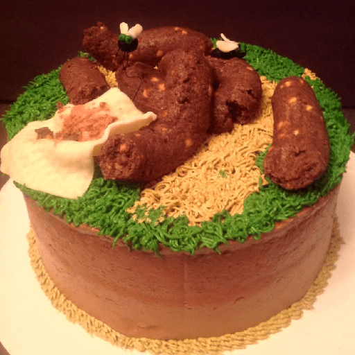 Poop cake birthday 8
