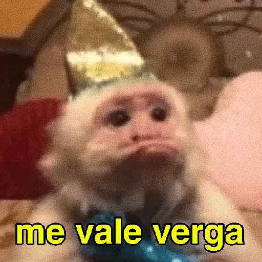 Changuitos Random 🐒 13