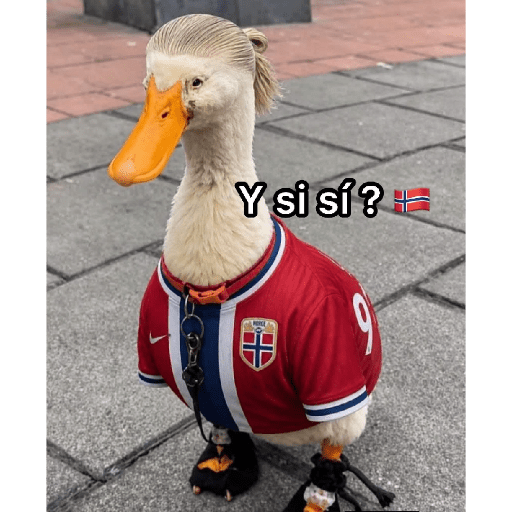 Memes 77 27