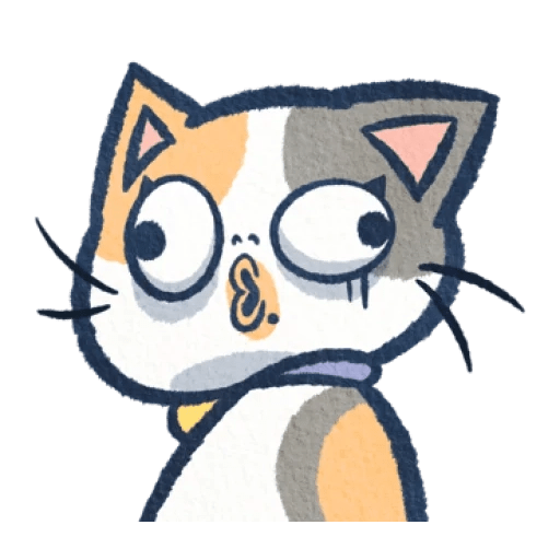 Gato Gatito loco 😜 crazy cat 😺 12