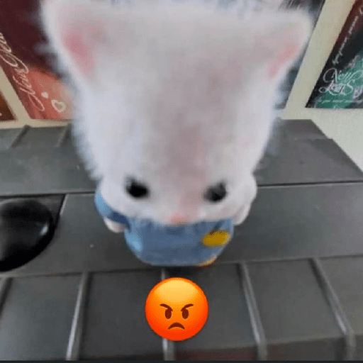 Tierno 🥺 2