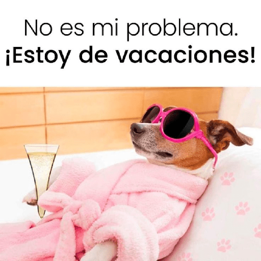 Vacaciones 🏕️🏖️✈️🧳 1