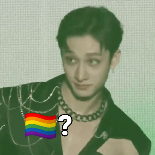 straykids memes 18 🏳️‍🌈
