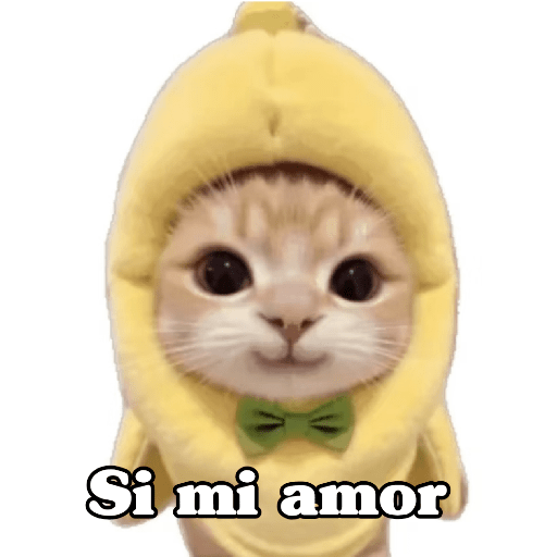 🧿 Dilo con michis 5😺 17