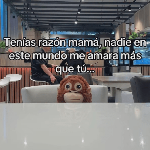 🧿Punch Frases♥️🦧🐒 7
