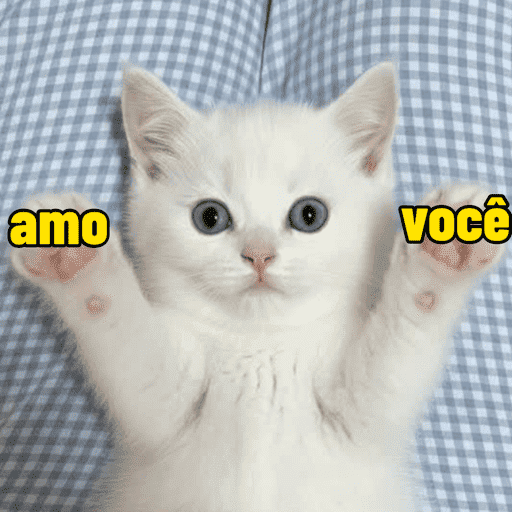 Cantadas gatinhos  15