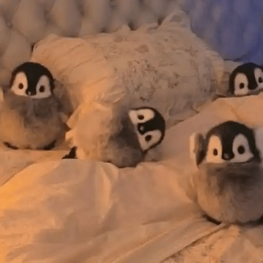 💓 Pingüinos bebé 2🐧 9