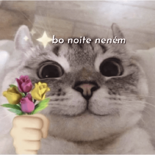 Boa noite 💤 12