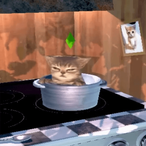 Cats 10 12