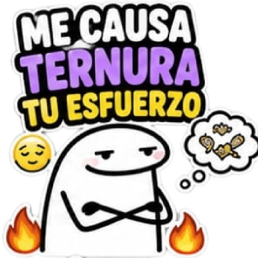 🤣 Flork Frases Meme 🧦📲💬 15