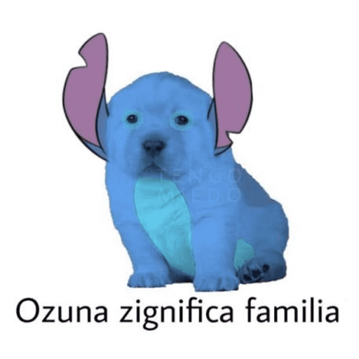 Gatitos 9