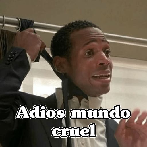 🧿Memes Variados11😂😎 21
