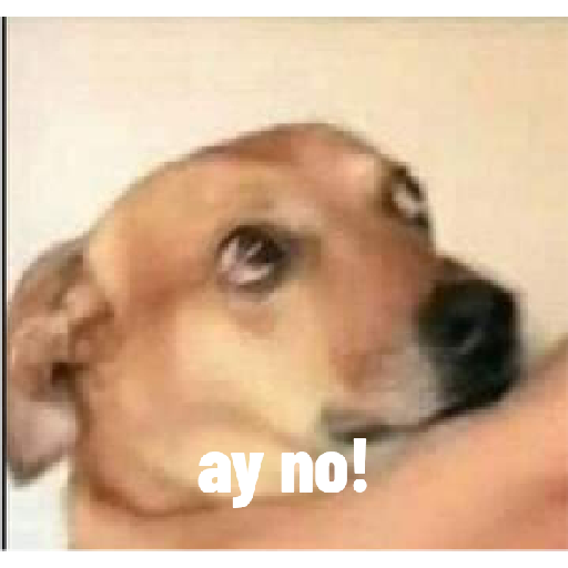 Caritas graciosas  2