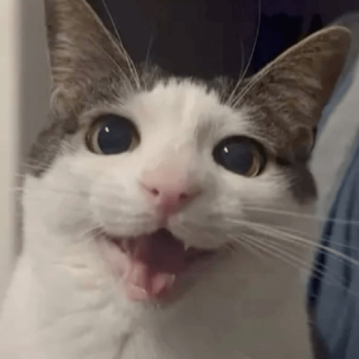 Gatitos 😺 9