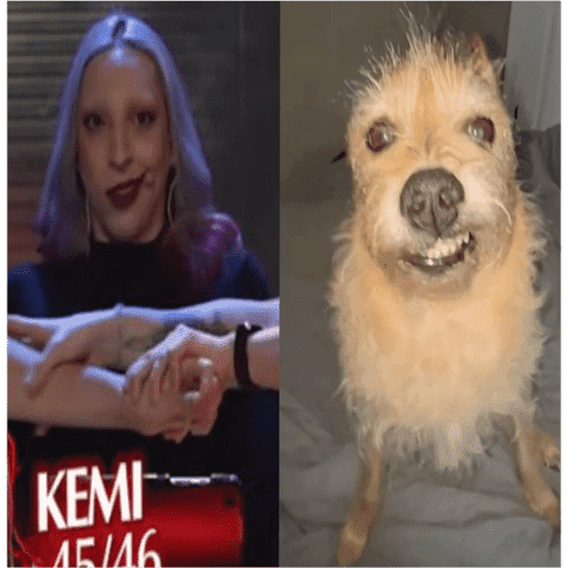 Hexakombi 13