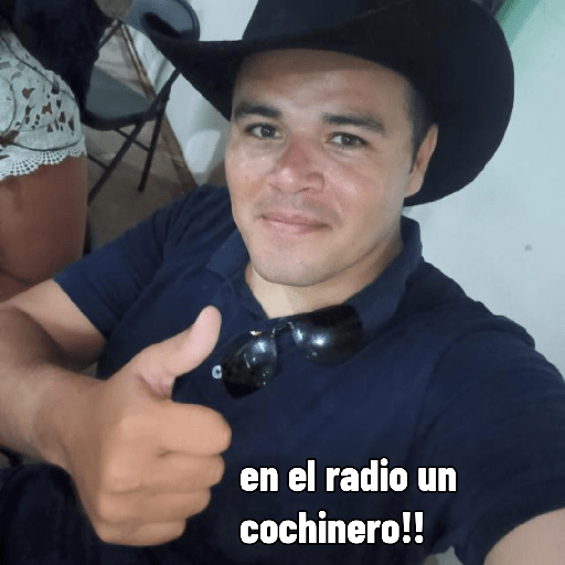 Nuevos 5