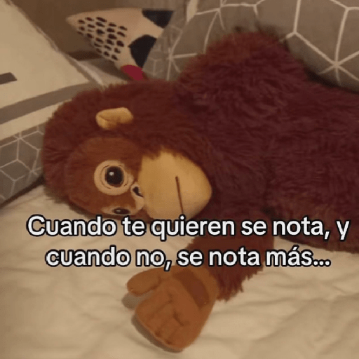 🧿Punch Frases♥️🦧🐒 1
