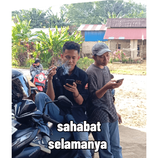 Herdin 11