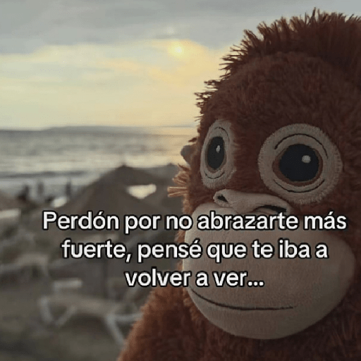🧿Punch Frases♥️🦧🐒 9