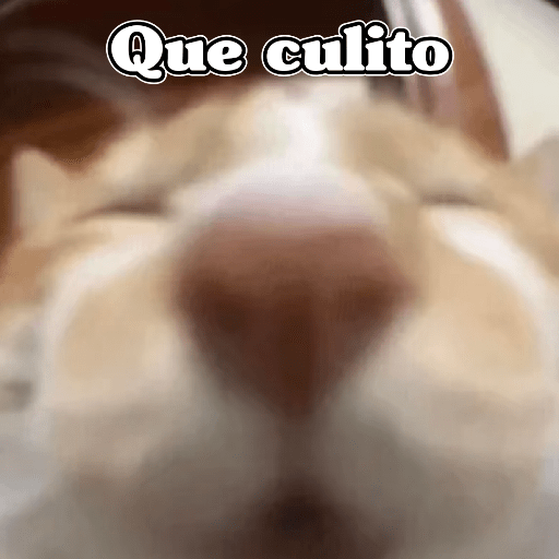 🧿Dilo con Michis2🐱 12