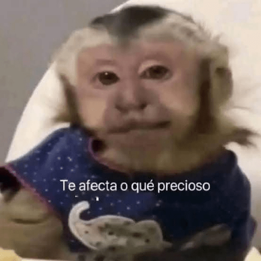 Monos 🙊 1